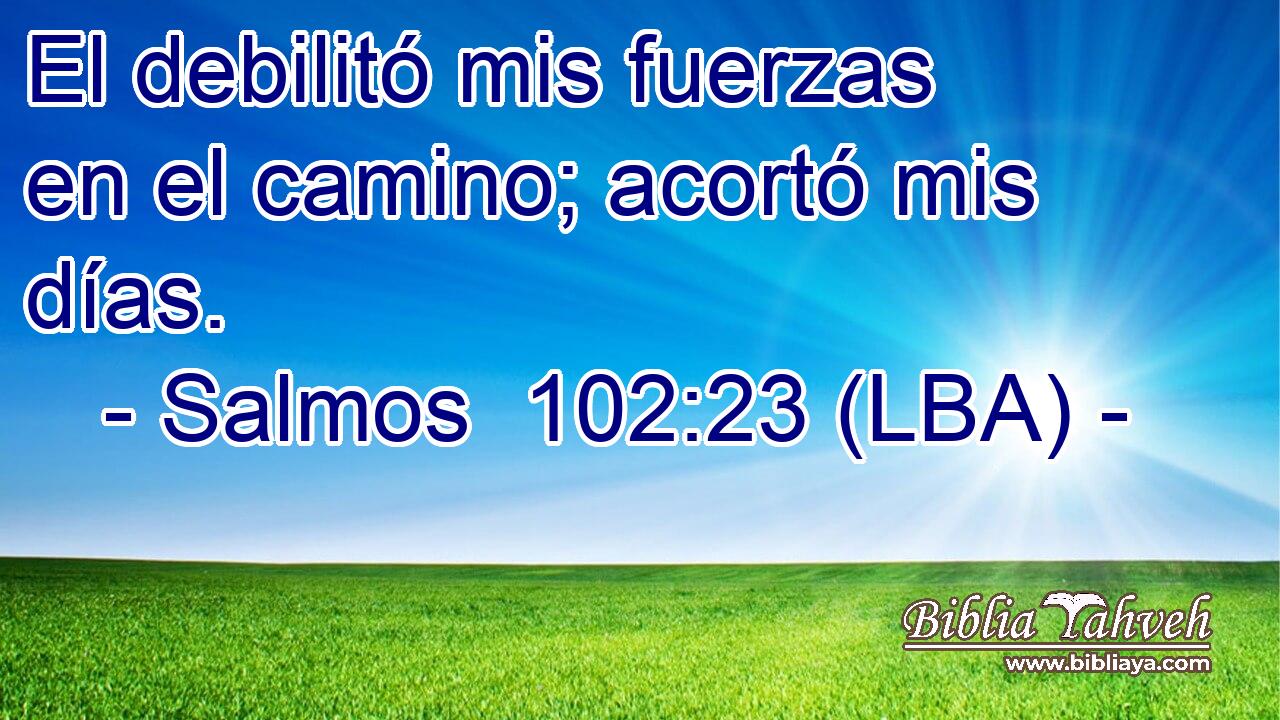 El debilitó mis fuerzas en el camino; acortó mis días.