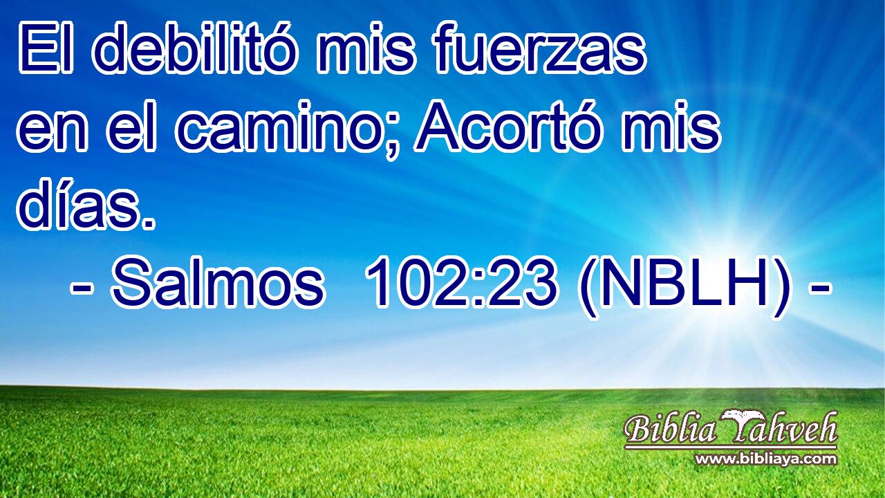  El debilitó mis fuerzas en el camino; Acortó mis días. 