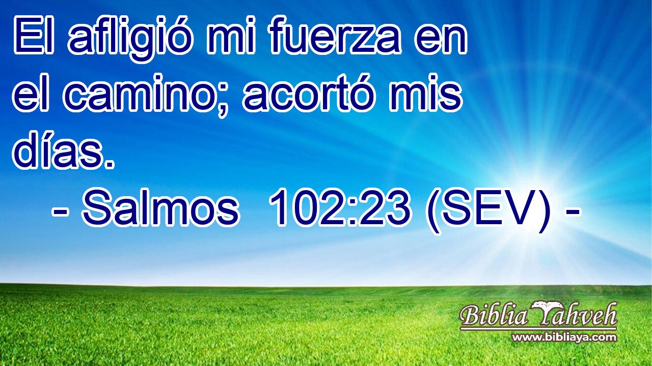 El afligió mi fuerza en el camino; acortó mis días.