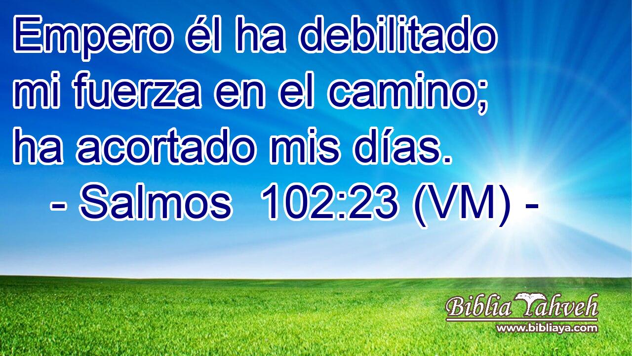  Empero él ha debilitado mi fuerza en el camino; ha acortado mis días. 