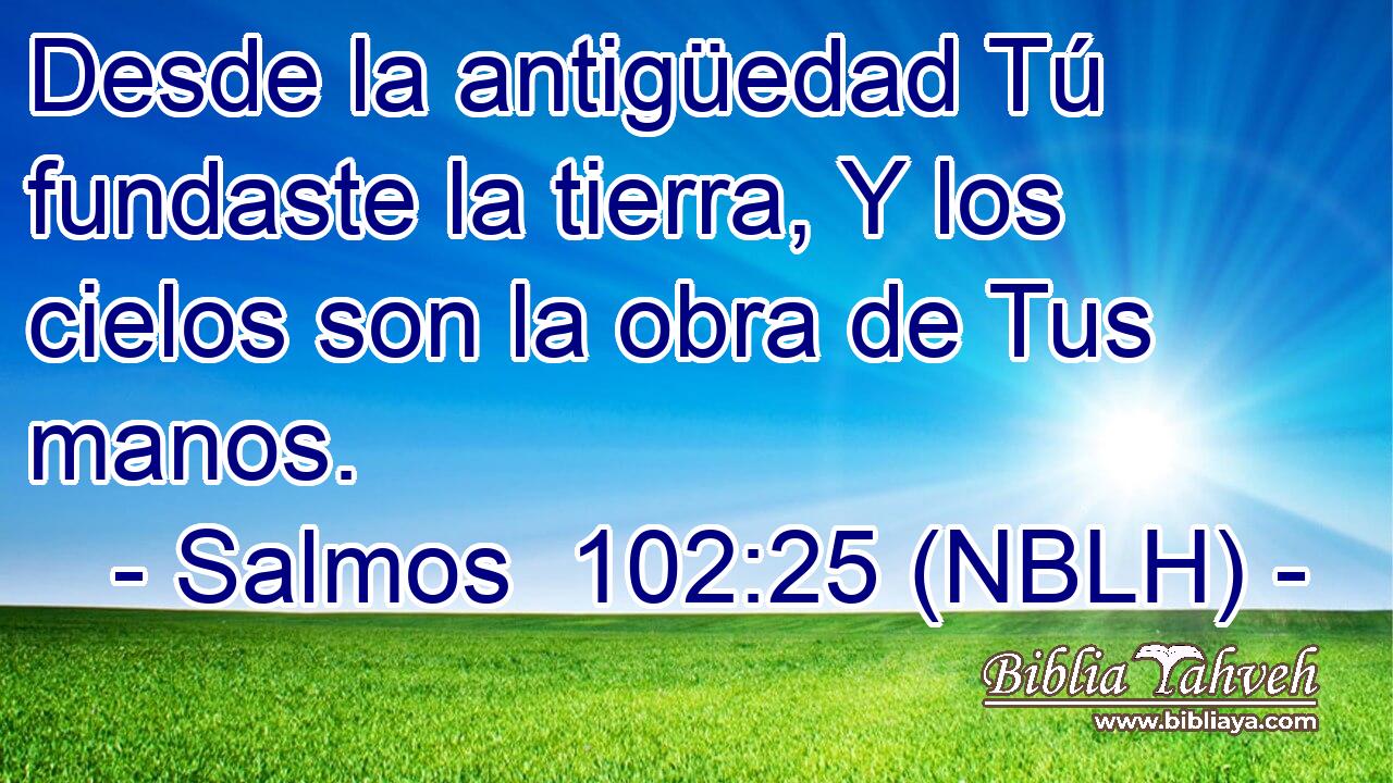  Desde la antigüedad Tú fundaste la tierra, Y los cielos son la obra de Tus manos. 