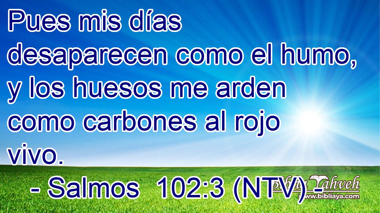 Pues mis días desaparecen como el humo, y los huesos me arden como carbones al rojo vivo.