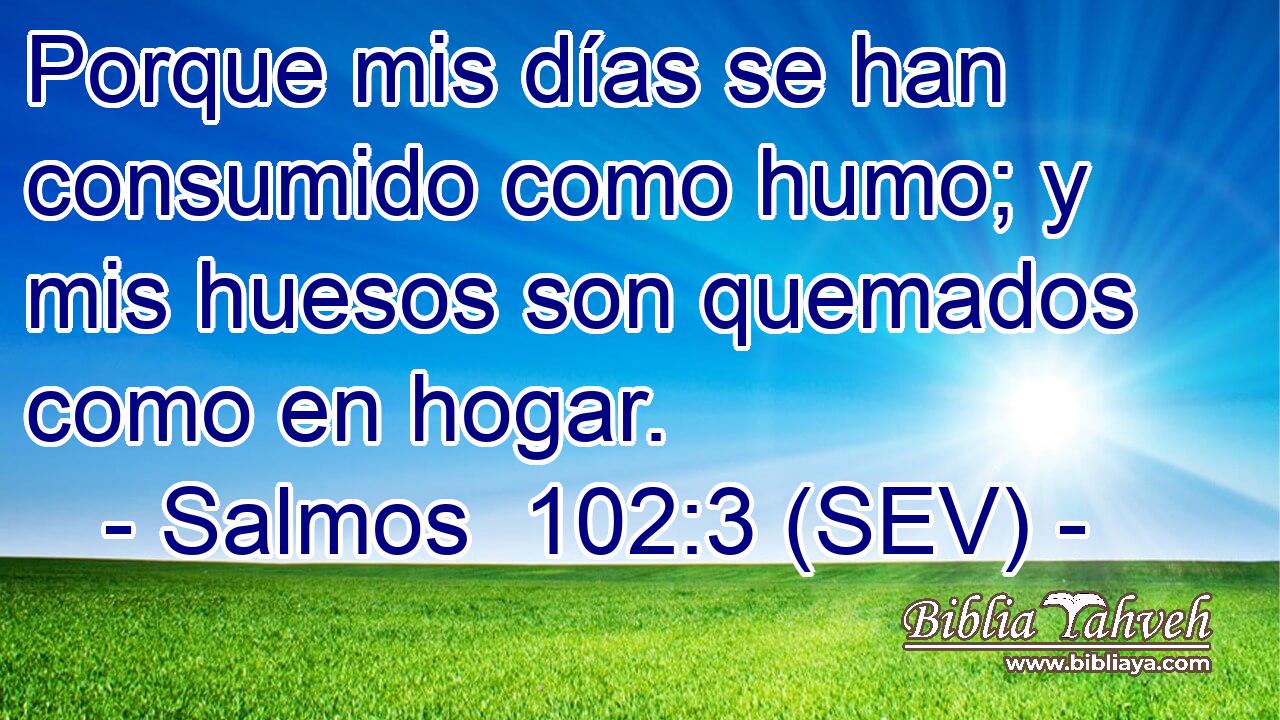 Porque mis días se han consumido como humo; y mis huesos son quemados como en hogar.