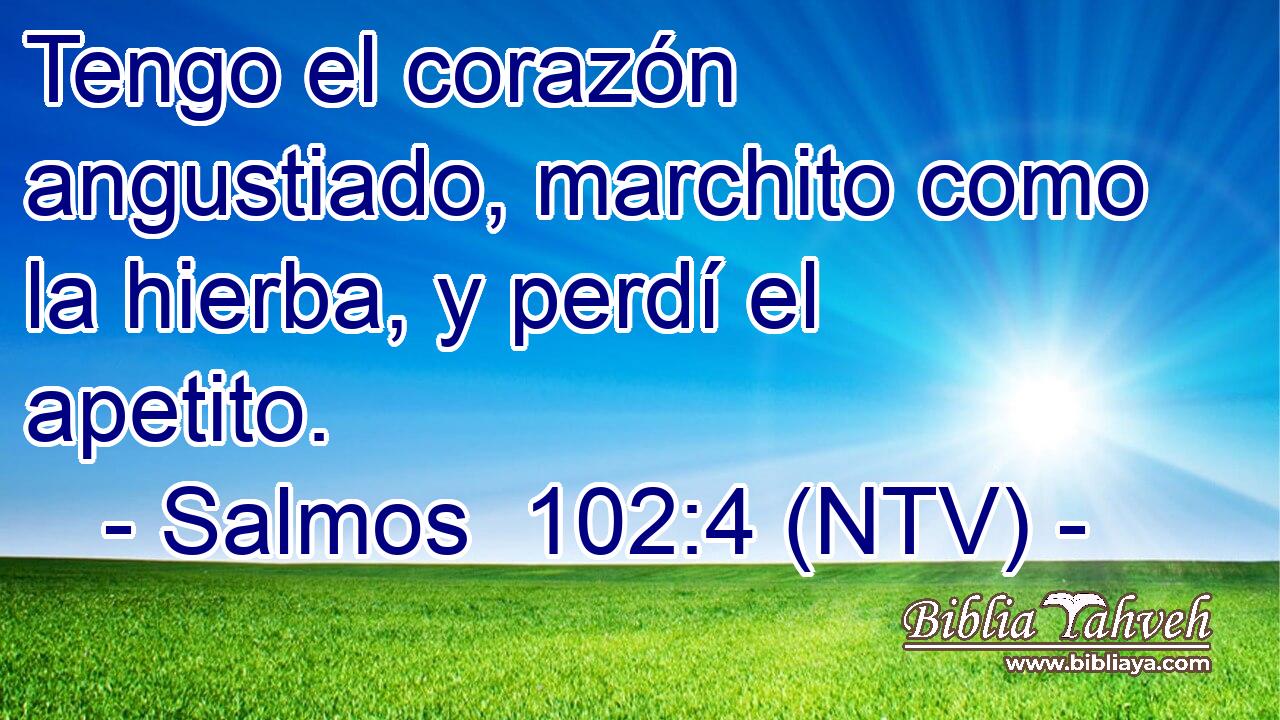 Tengo el corazón angustiado, marchito como la hierba, y perdí el apetito.