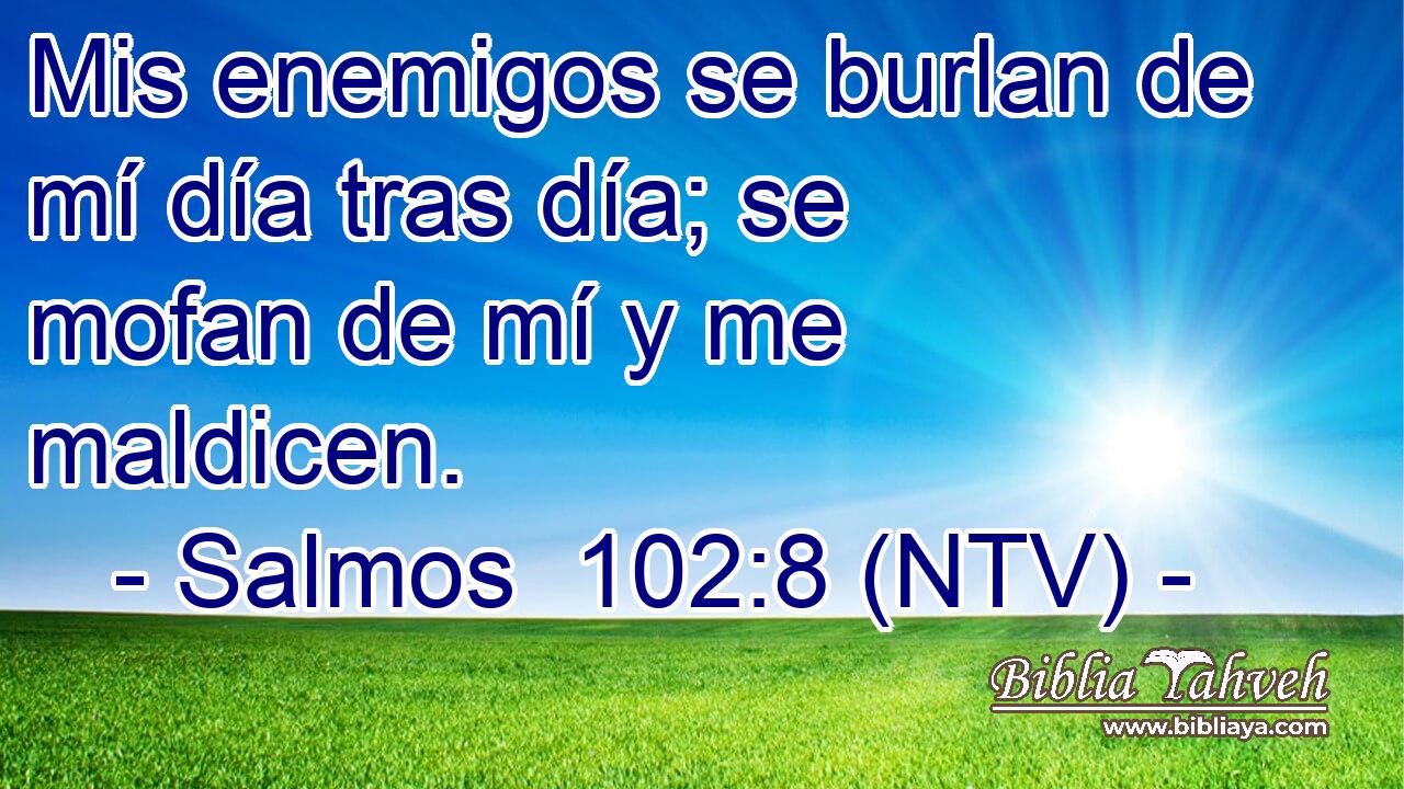 Mis enemigos se burlan de mí día tras día; se mofan de mí y me maldicen.