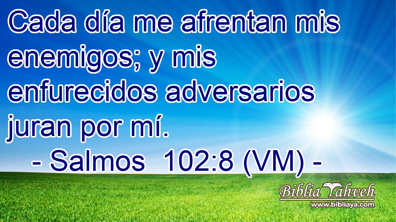  Cada día me afrentan mis enemigos; y mis enfurecidos adversarios juran por mí. 