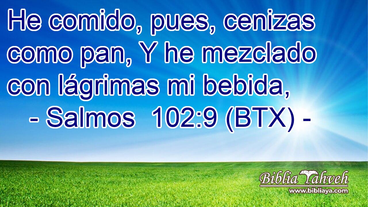 He comido, pues, cenizas como pan, Y he mezclado con lágrimas mi bebida,