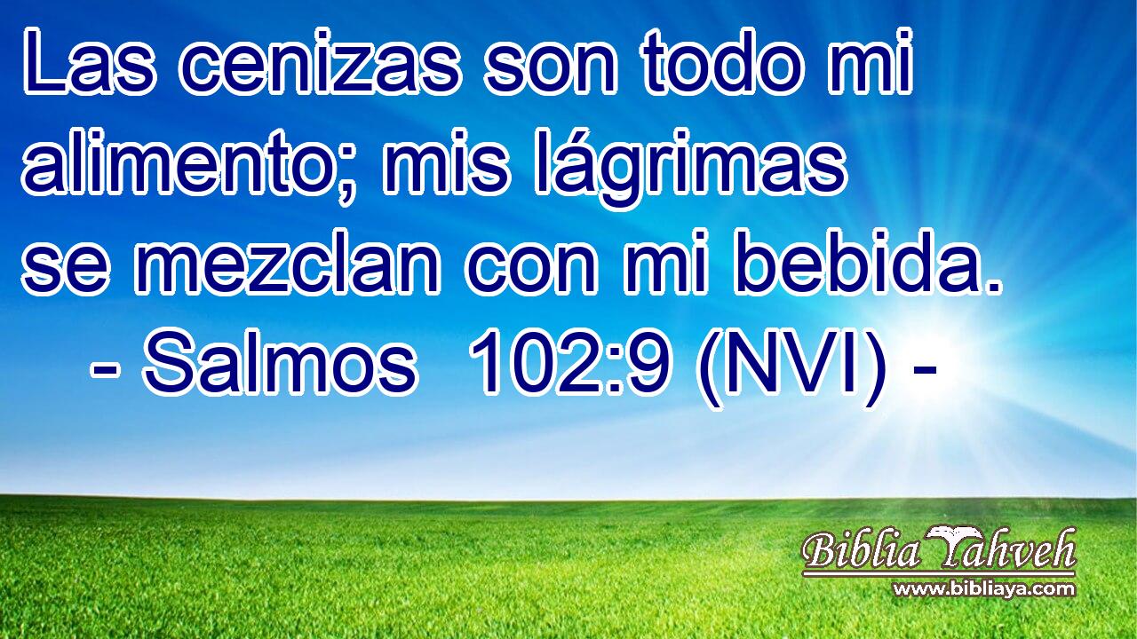  Las cenizas son todo mi alimento; mis lágrimas se mezclan con mi bebida. 