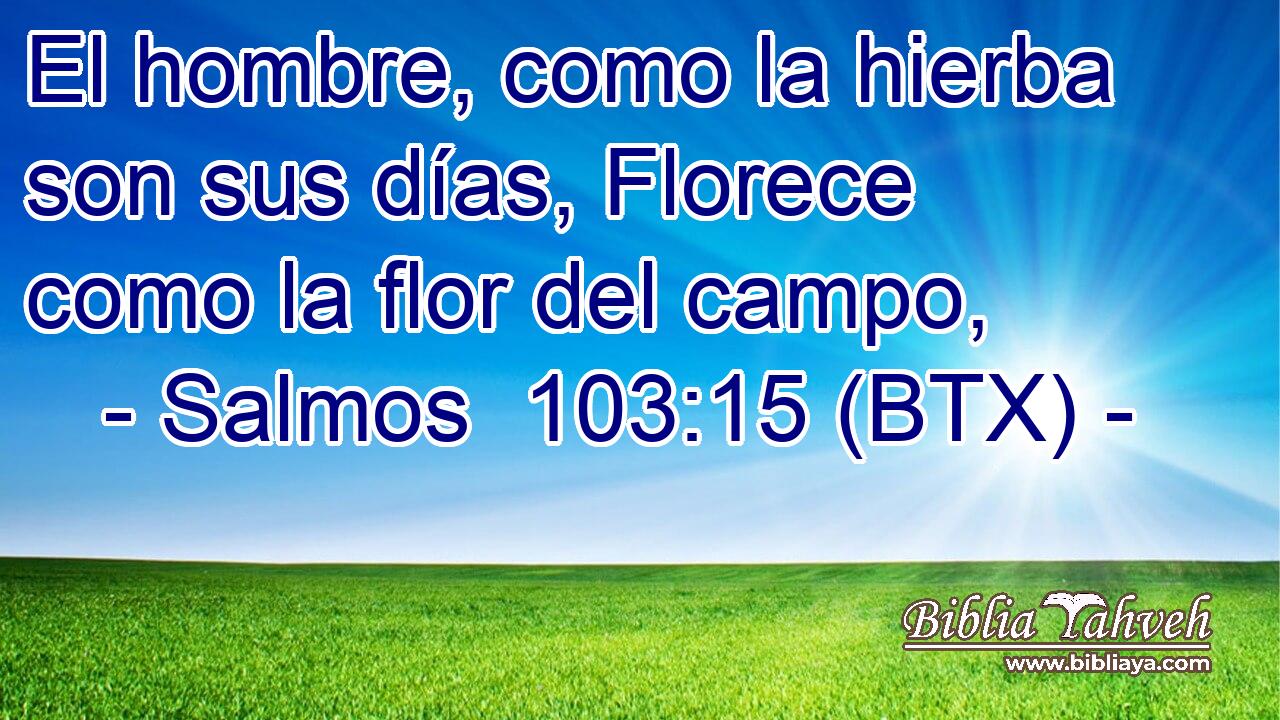 El hombre, como la hierba son sus días, Florece como la flor del campo,