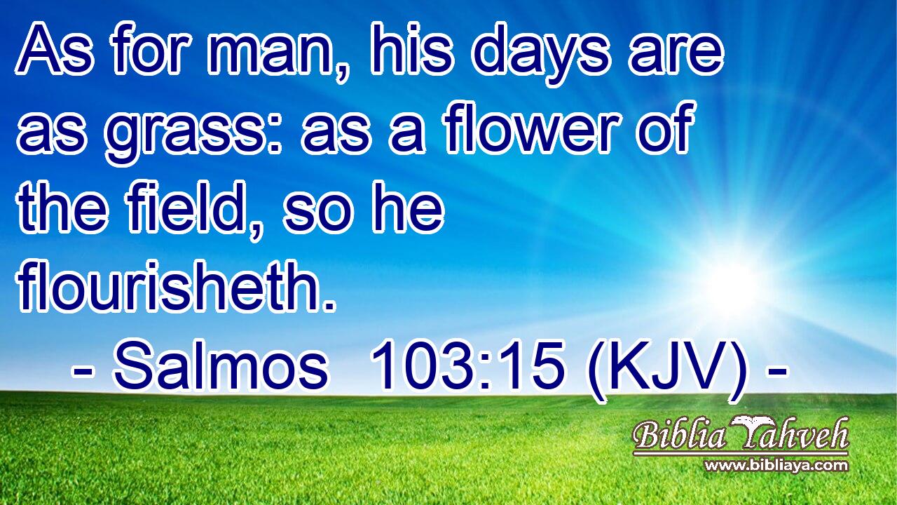 As for man, his days are as grass: as a flower of the field, so he flourisheth.