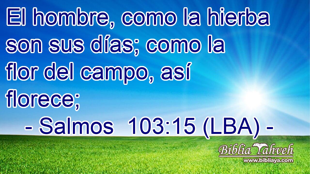 El hombre, como la hierba son sus días; como la flor del campo, así florece;