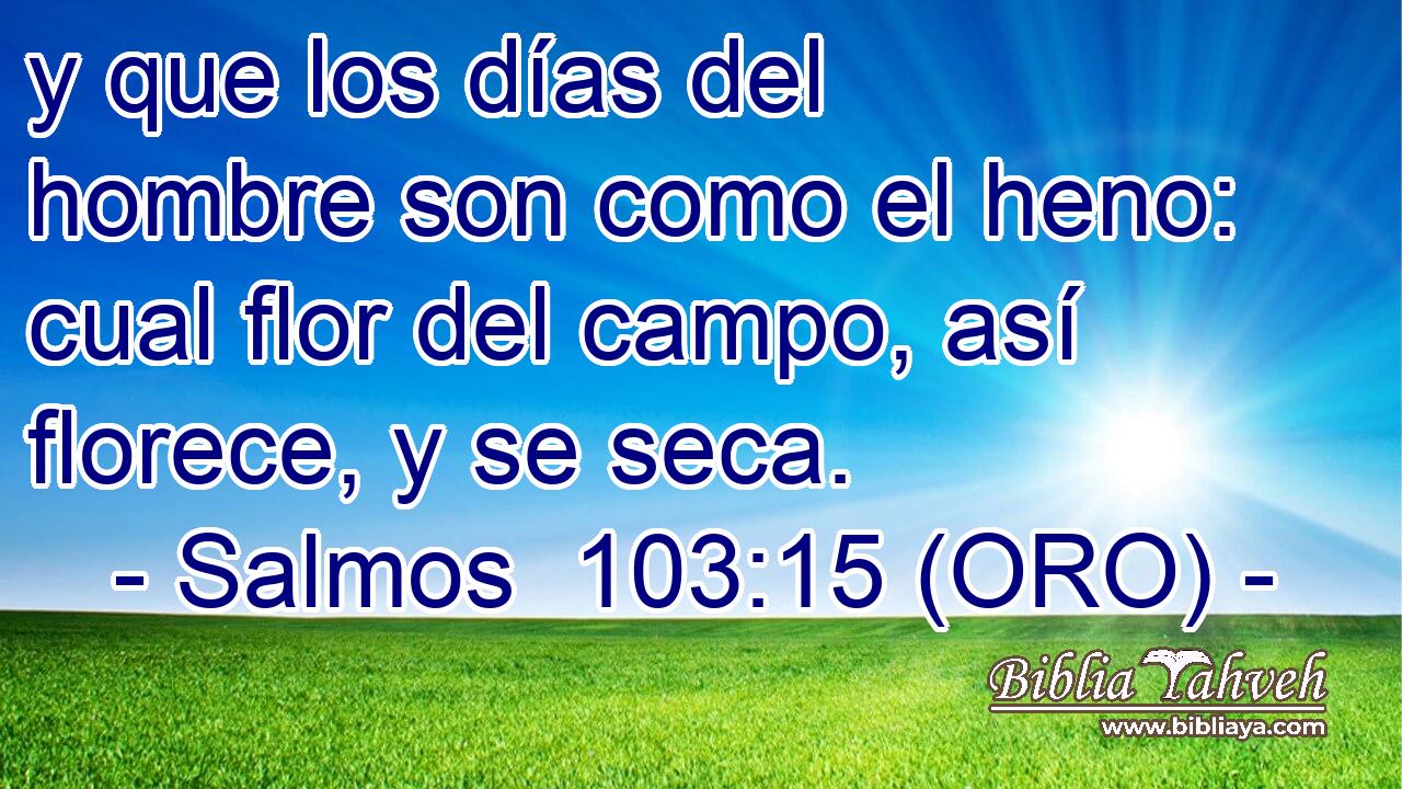  Mananaf (Junio) 3, 2004, Salmo 103:1-5; Salmo 91:2-4.  Manguaguan na Palabran Si Yuus - God's Precious Words