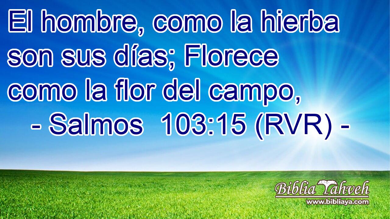 El hombre, como la hierba son sus días; Florece como la flor del campo,