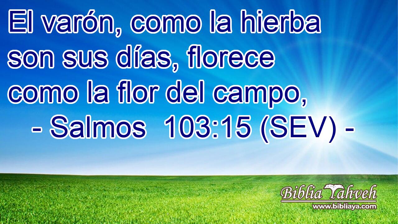 El varón, como la hierba son sus días, florece como la flor del campo,