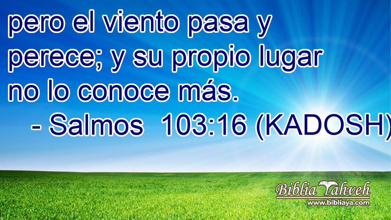  pero el viento pasa y perece; y su propio lugar no lo conoce más. 