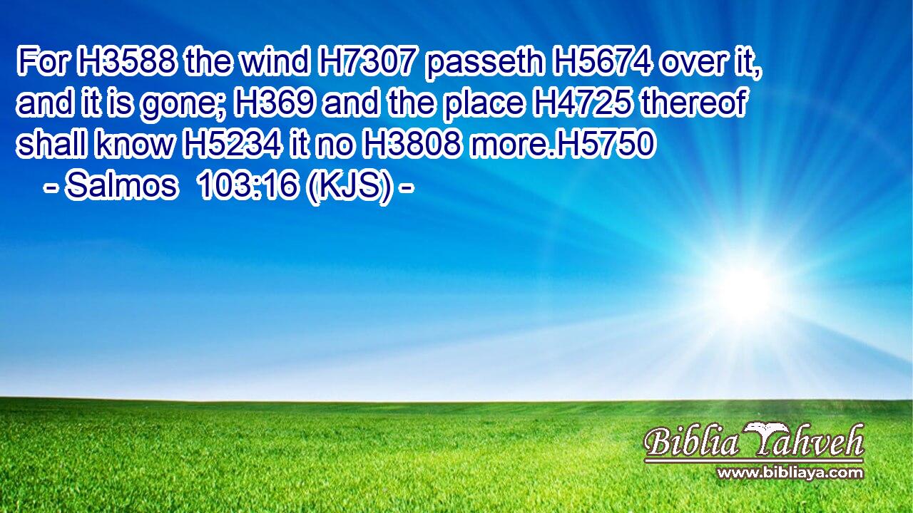 For H3588 the wind H7307 passeth H5674 over it, and it is gone; H369 and the place H4725 thereof shall know H5234 it no H3808 more.H5750