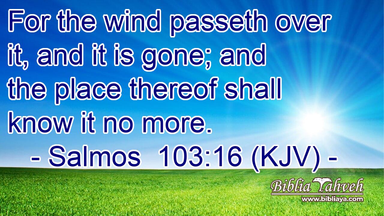 For the wind passeth over it, and it is gone; and the place thereof shall know it no more.
