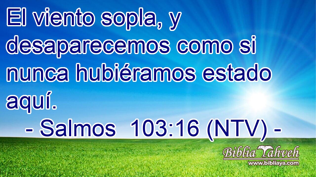 El viento sopla, y desaparecemos como si nunca hubiéramos estado aquí.