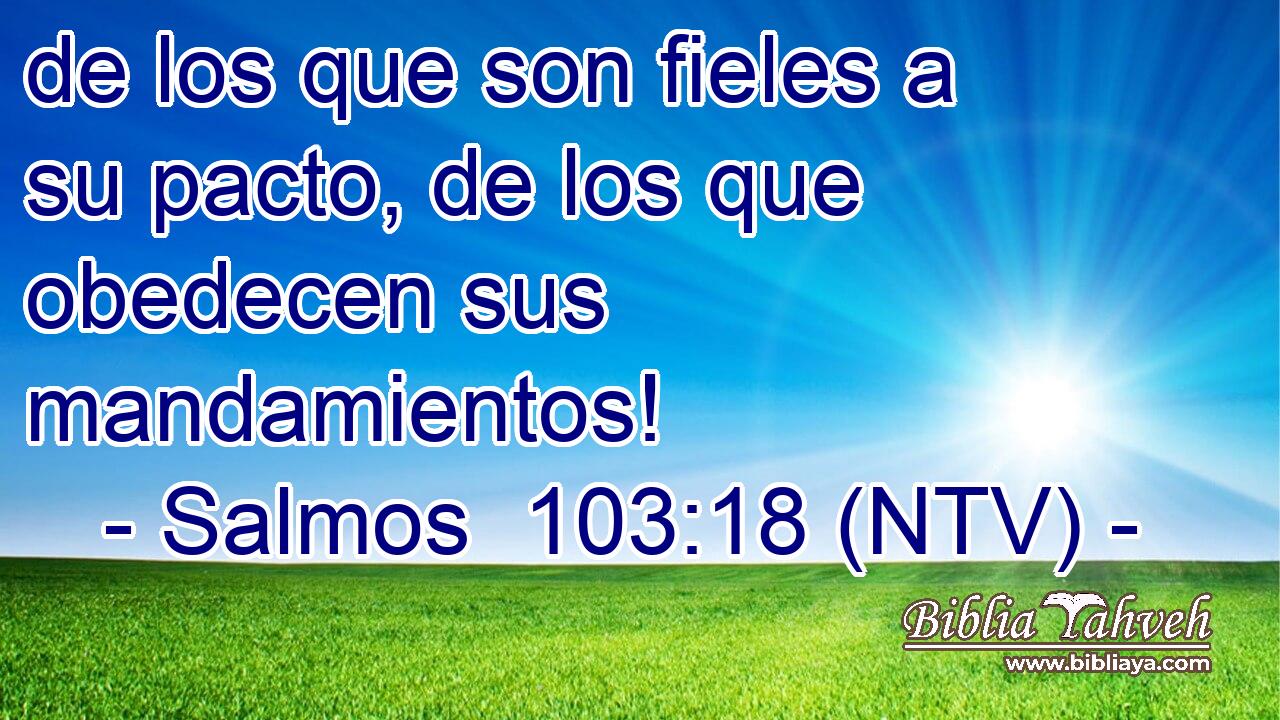 de los que son fieles a su pacto, de los que obedecen sus mandamientos!