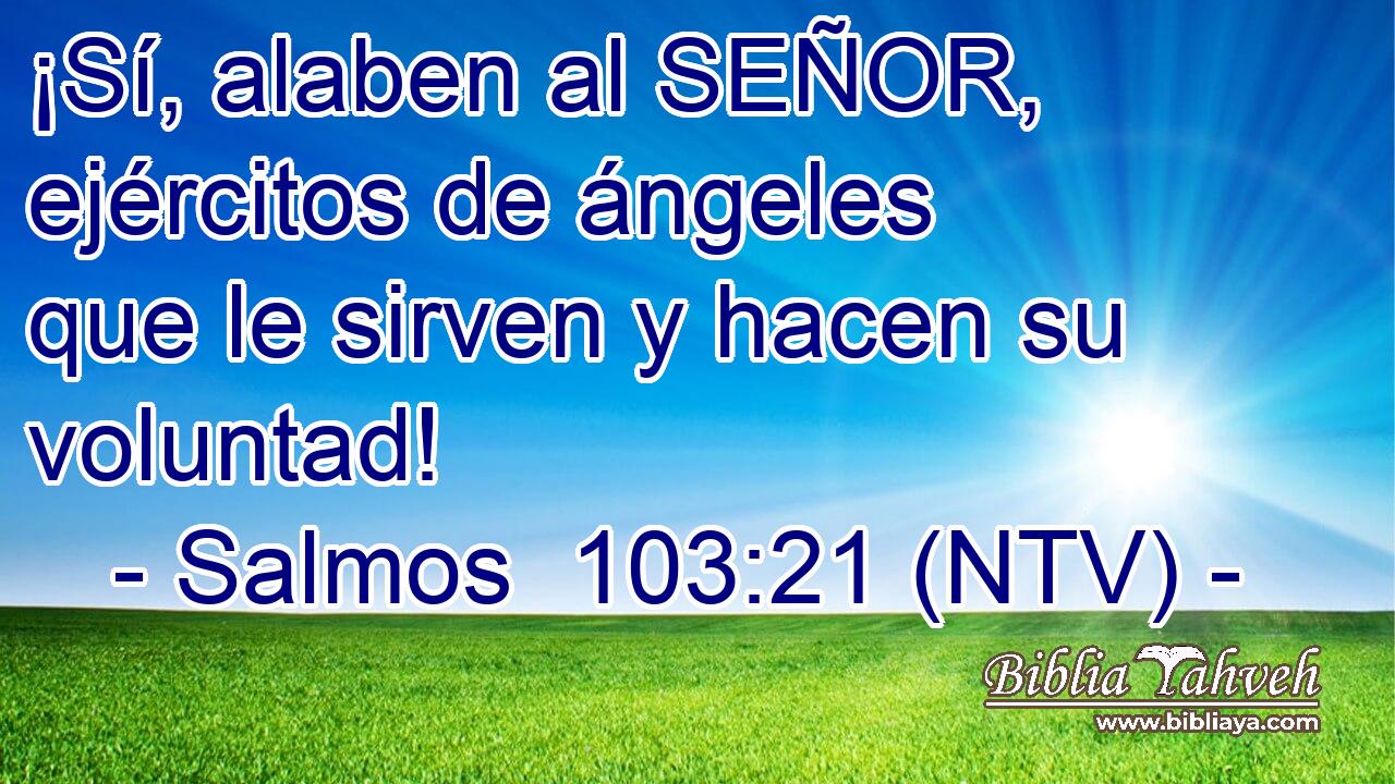¡Sí, alaben al SEÑOR, ejércitos de ángeles que le sirven y hacen su voluntad!