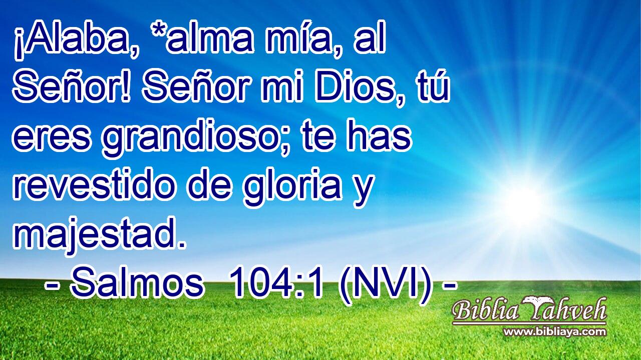  ¡Alaba, *alma mía, al Señor! Señor mi Dios, tú eres grandioso; te has revestido de gloria y majestad. 