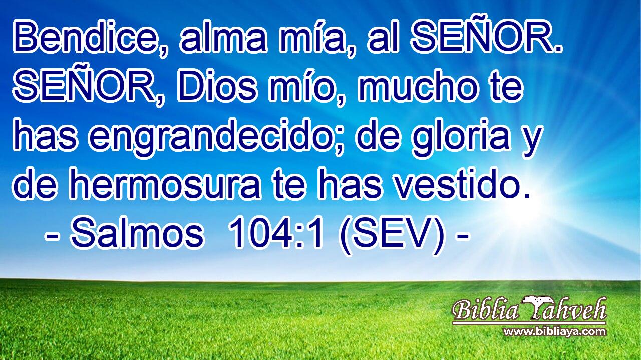 Bendice, alma mía, al SEÑOR. SEÑOR, Dios mío, mucho te has engrandecido; de gloria y de hermosura te has vestido.