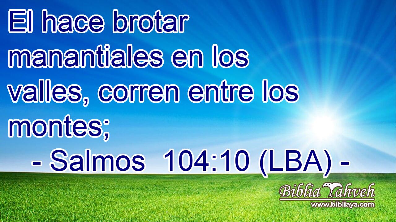 El hace brotar manantiales en los valles, corren entre los montes;