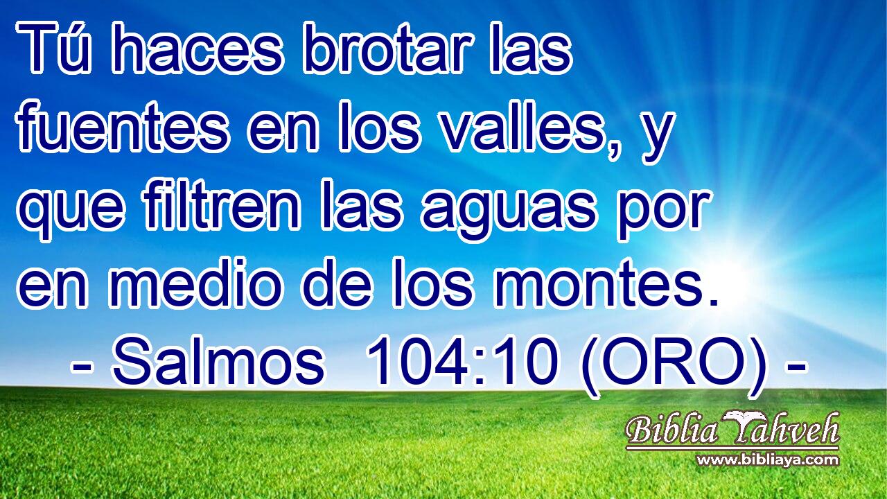  Tú haces brotar las fuentes en los valles, y que filtren las aguas por en medio de los montes. 