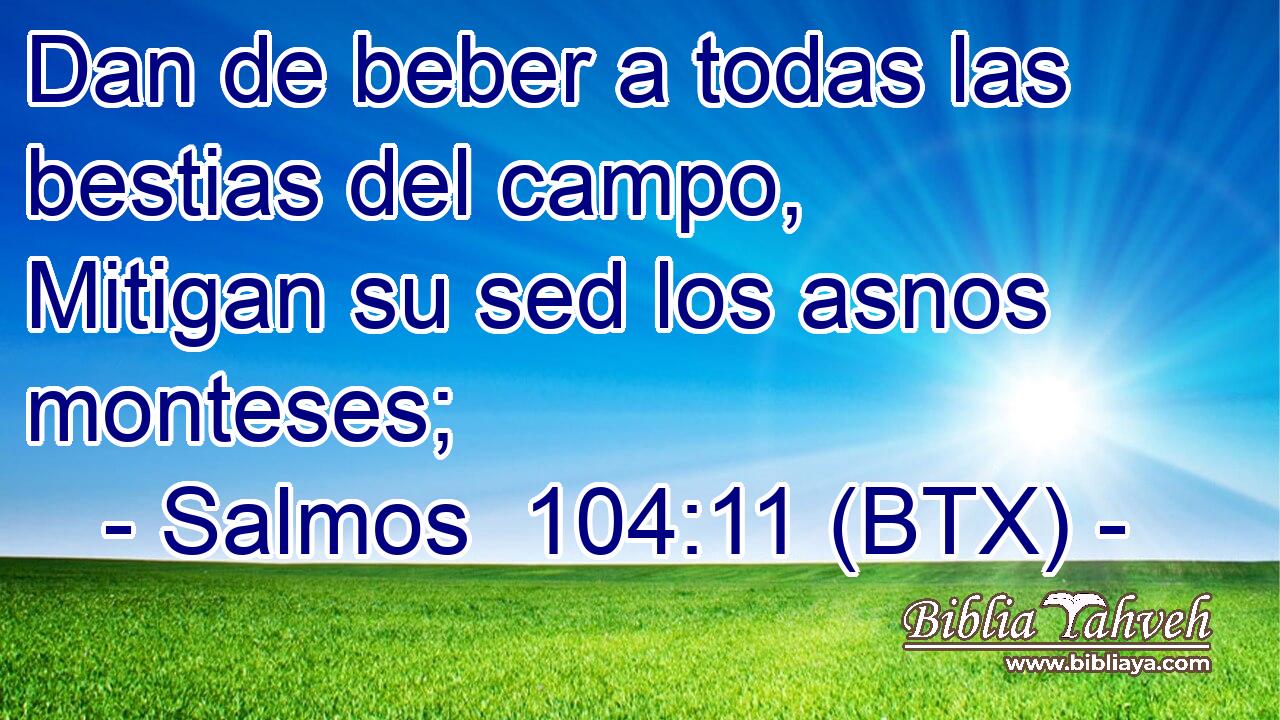Dan de beber a todas las bestias del campo, Mitigan su sed los asnos monteses;