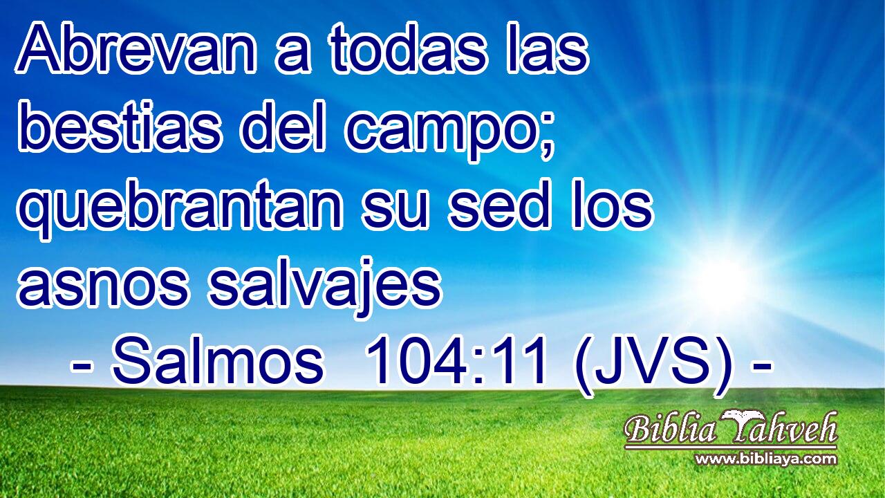 Abrevan a todas las bestias del campo; quebrantan su sed los asnos salvajes