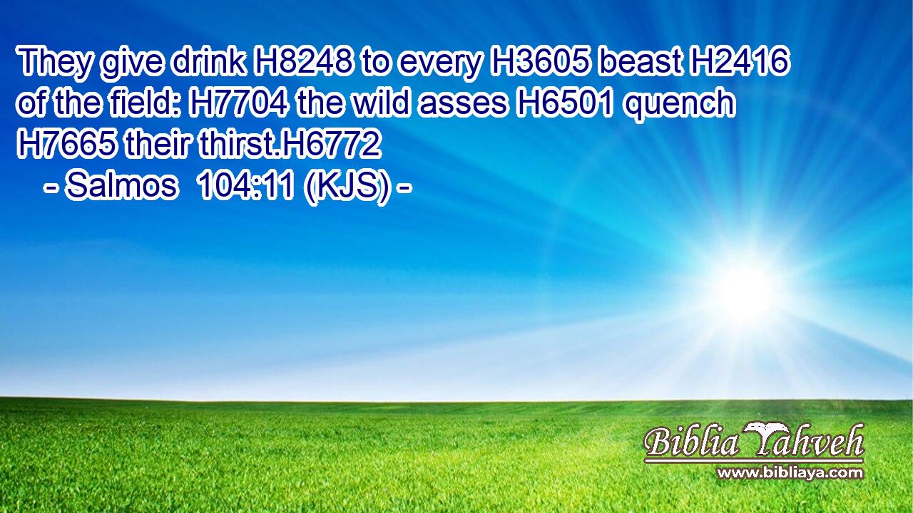 They give drink H8248 to every H3605 beast H2416 of the field: H7704 the wild asses H6501 quench H7665 their thirst.H6772