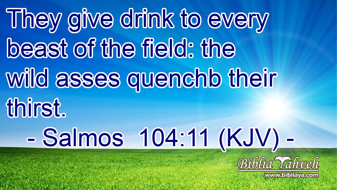 They give drink to every beast of the field: the wild asses quenchb their thirst.