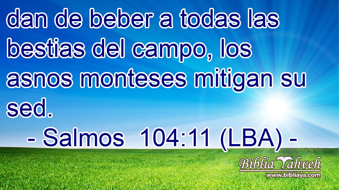 dan de beber a todas las bestias del campo, los asnos monteses mitigan su sed.