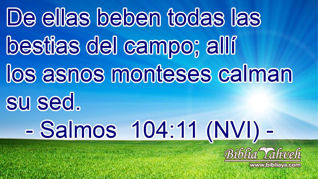 De ellas beben todas las bestias del campo; allí los asnos monteses calman su sed. 