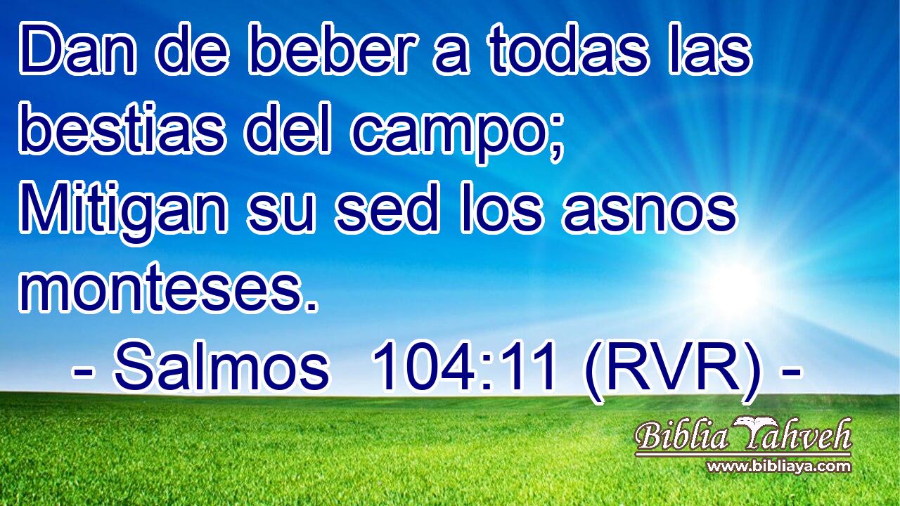 Dan de beber a todas las bestias del campo; Mitigan su sed los asnos monteses.