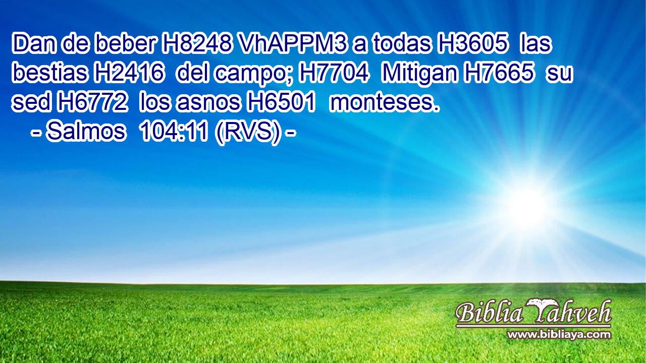 Dan de beber H8248 VhAPPM3 a todas H3605  las bestias H2416  del campo; H7704  Mitigan H7665  su sed H6772  los asnos H6501  monteses. 