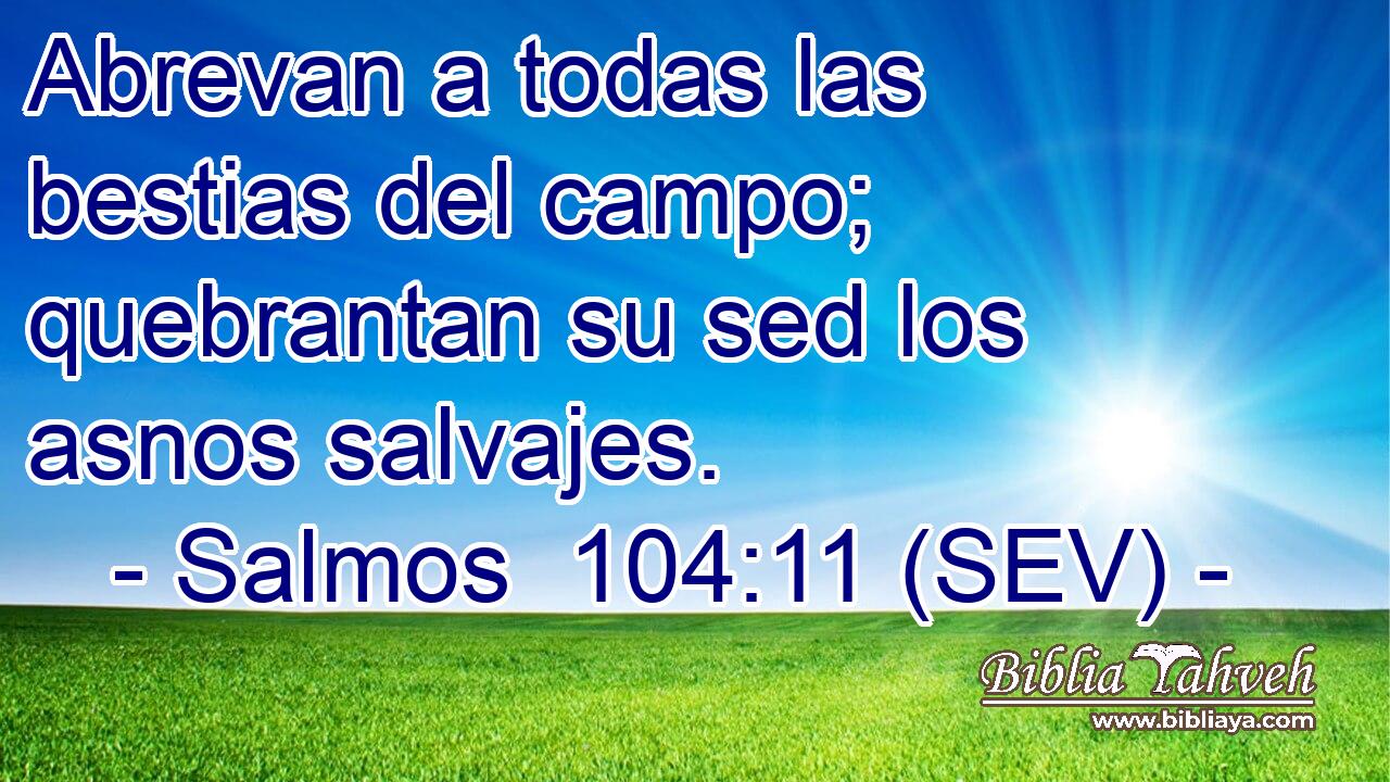 Abrevan a todas las bestias del campo; quebrantan su sed los asnos salvajes.