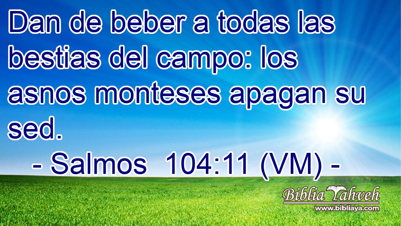  Dan de beber a todas las bestias del campo: los asnos monteses apagan su sed. 