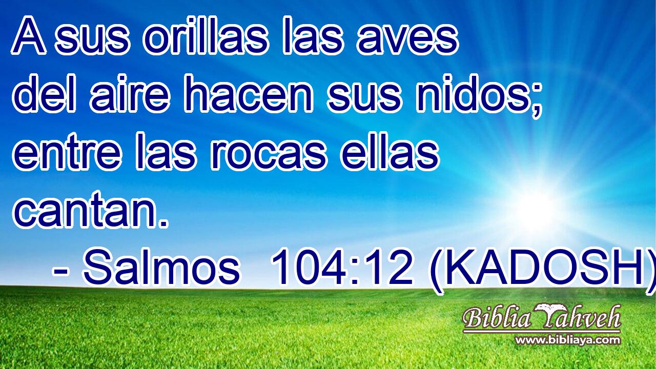  A sus orillas las aves del aire hacen sus nidos; entre las rocas ellas cantan. 