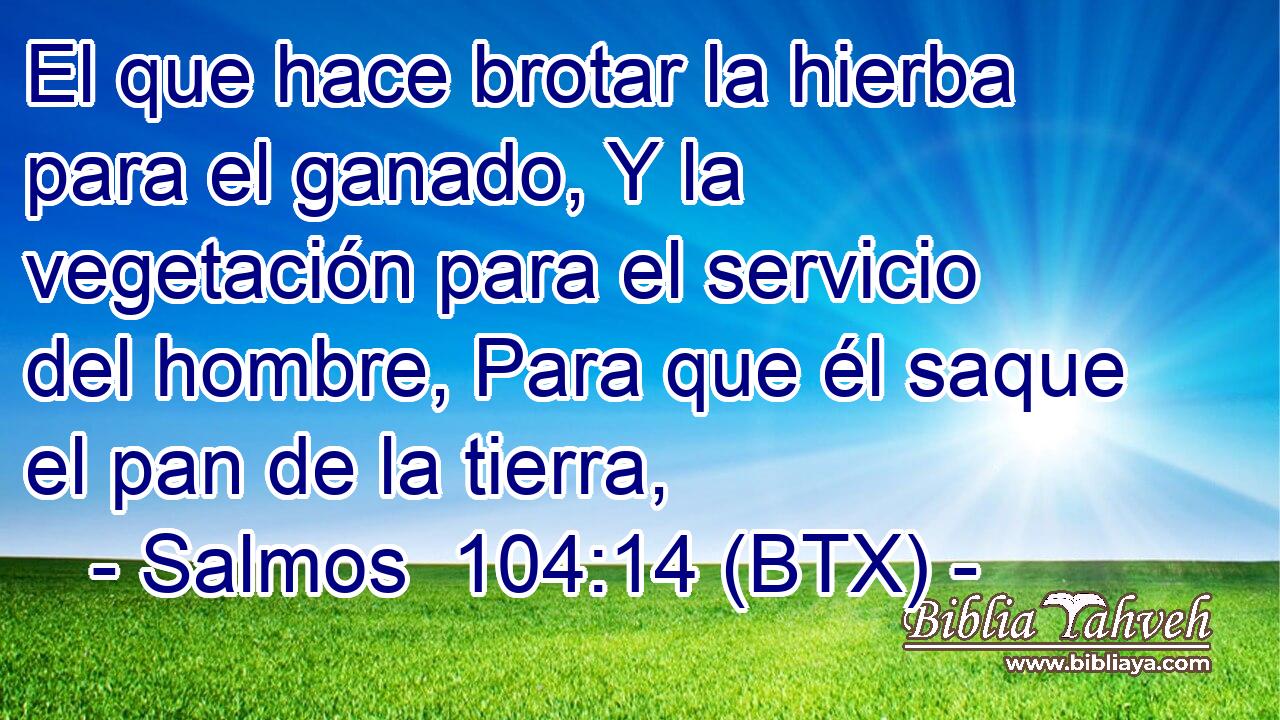 El que hace brotar la hierba para el ganado, Y la vegetación para el servicio del hombre, Para que él saque el pan de la tierra,