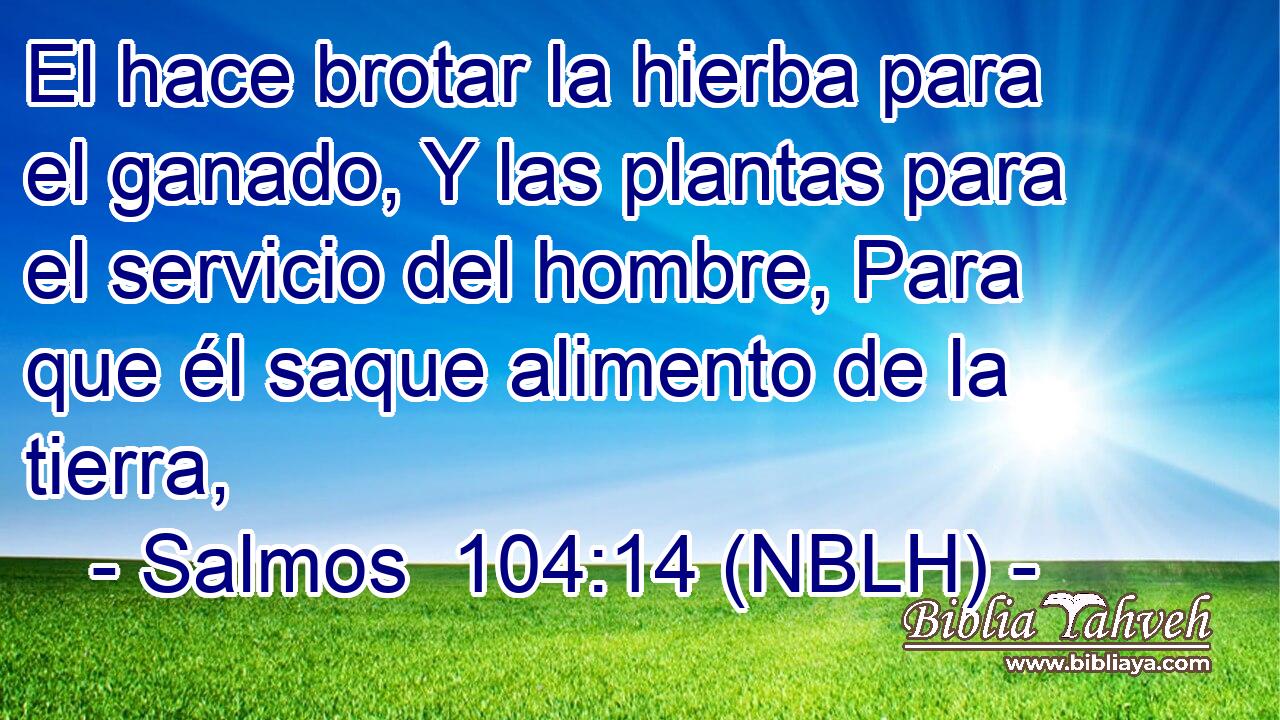 El hace brotar la hierba para el ganado, Y las plantas para el servicio del hombre, Para que él saque alimento de la tierra, 