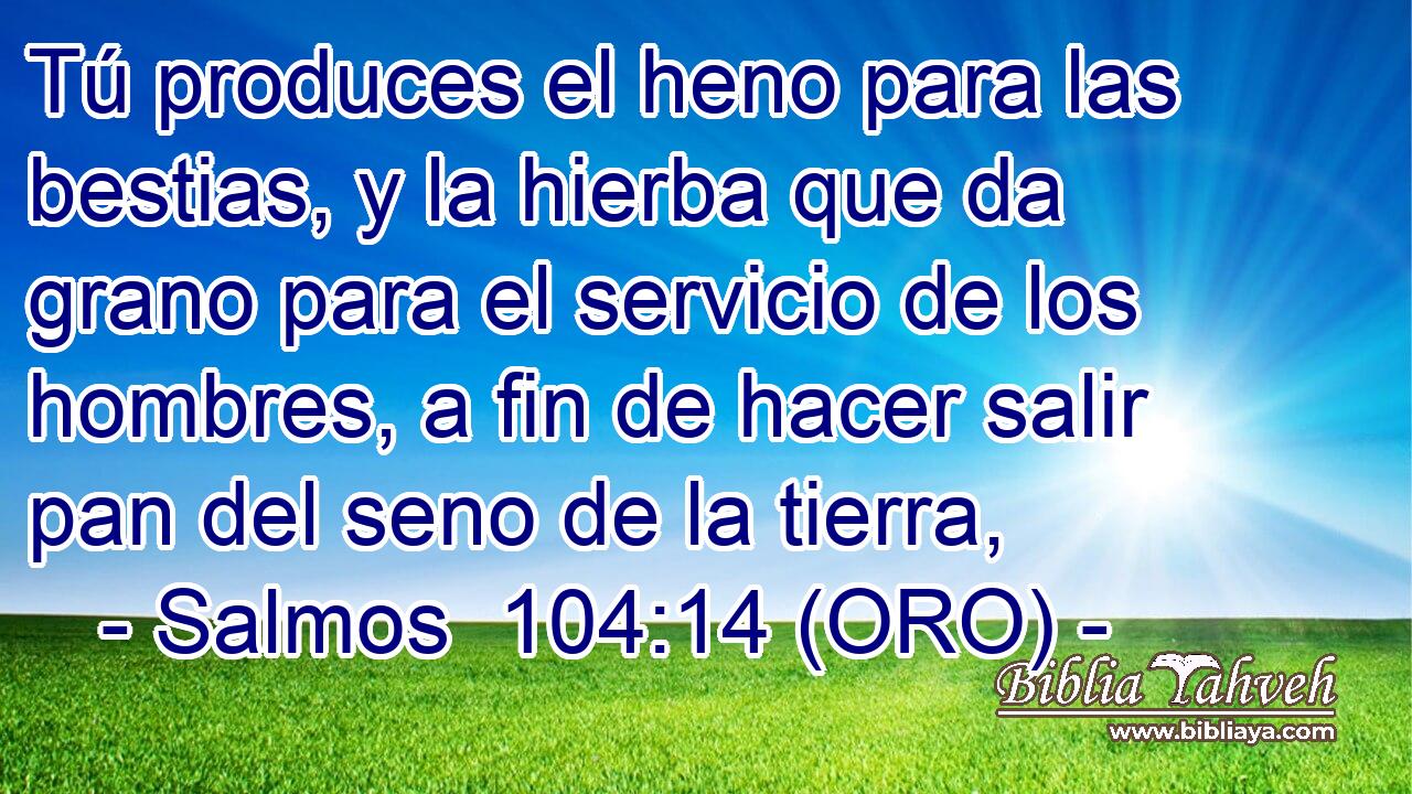  Tú produces el heno para las bestias, y la hierba que da grano para el servicio de los hombres, a fin de hacer salir pan del seno de la tierra, 