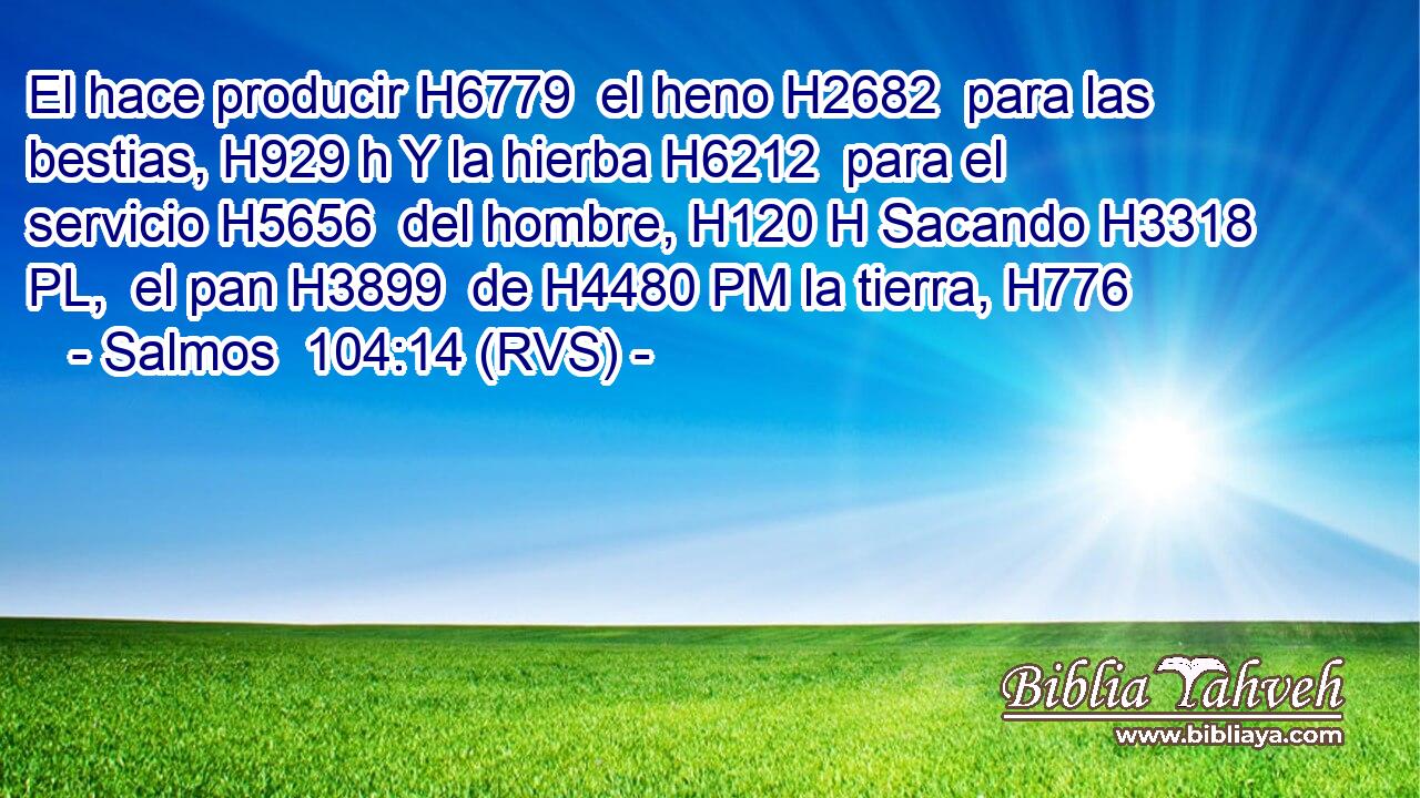 El hace producir H6779  el heno H2682  para las bestias, H929 h Y la hierba H6212  para el servicio H5656  del hombre, H120 H Sacando H3318 PL,  el pan H3899  de H4480 PM la tierra, H776  