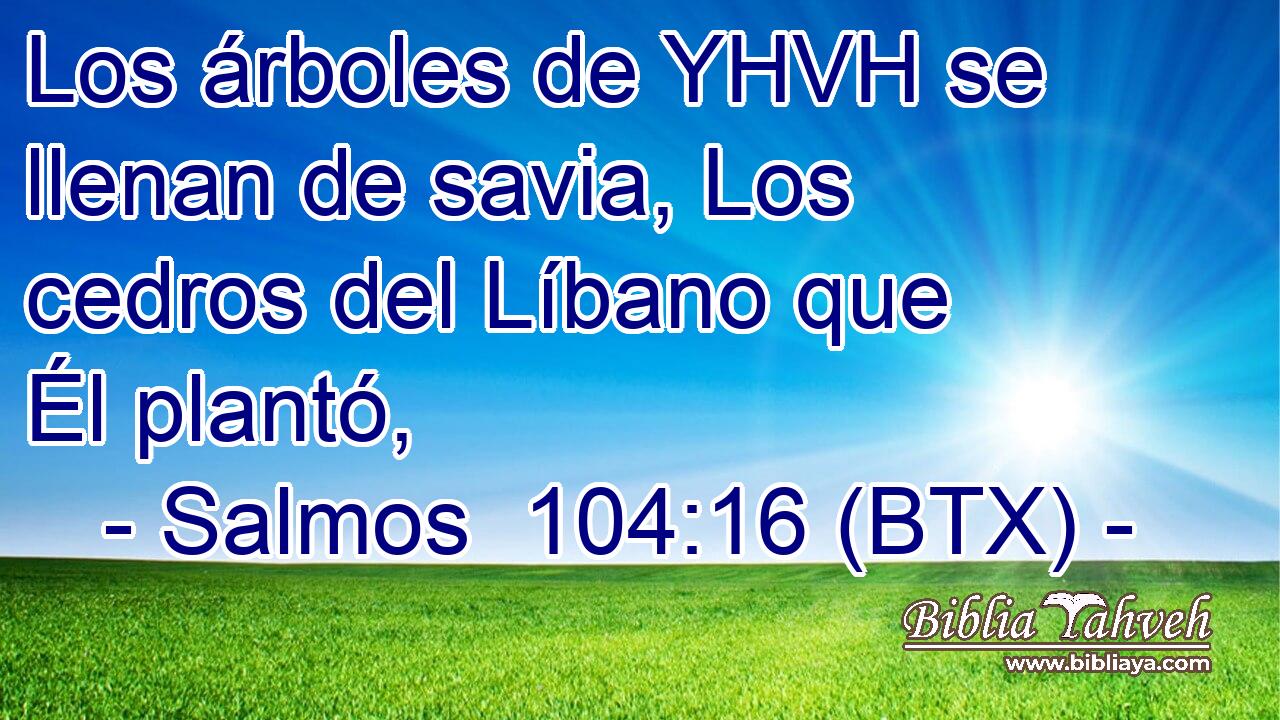 Los árboles de YHVH se llenan de savia, Los cedros del Líbano que Él plantó,