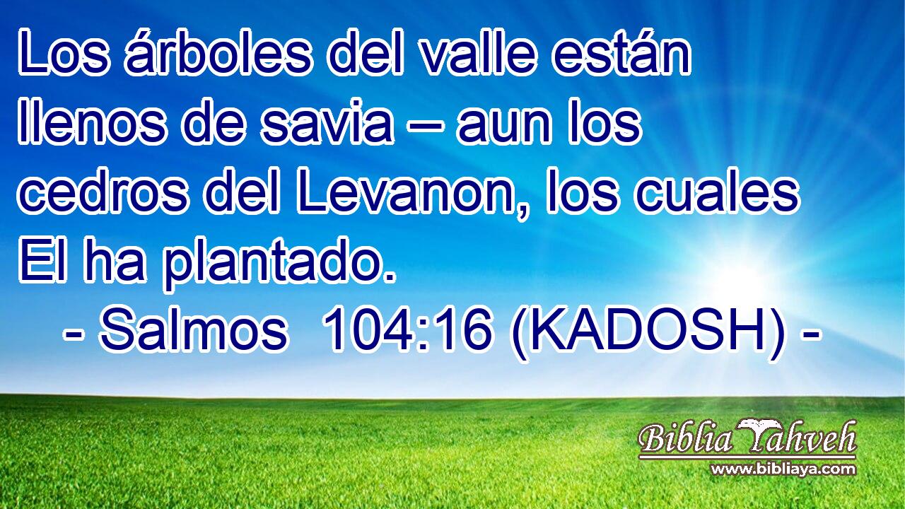  Los árboles del valle están llenos de savia – aun los cedros del Levanon, los cuales El ha plantado. 