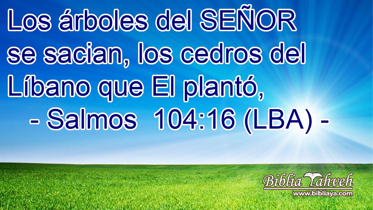 Los árboles del SEÑOR se sacian, los cedros del Líbano que El plantó,