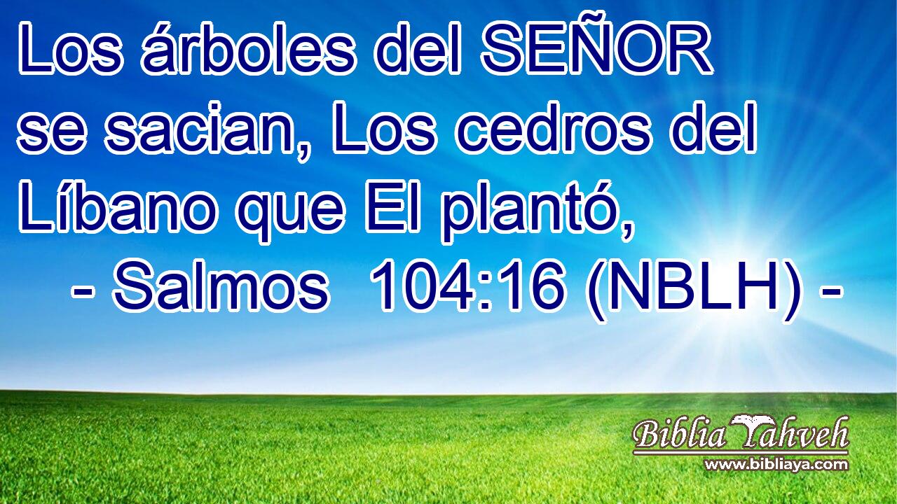  Los árboles del SEÑOR se sacian, Los cedros del Líbano que El plantó, 