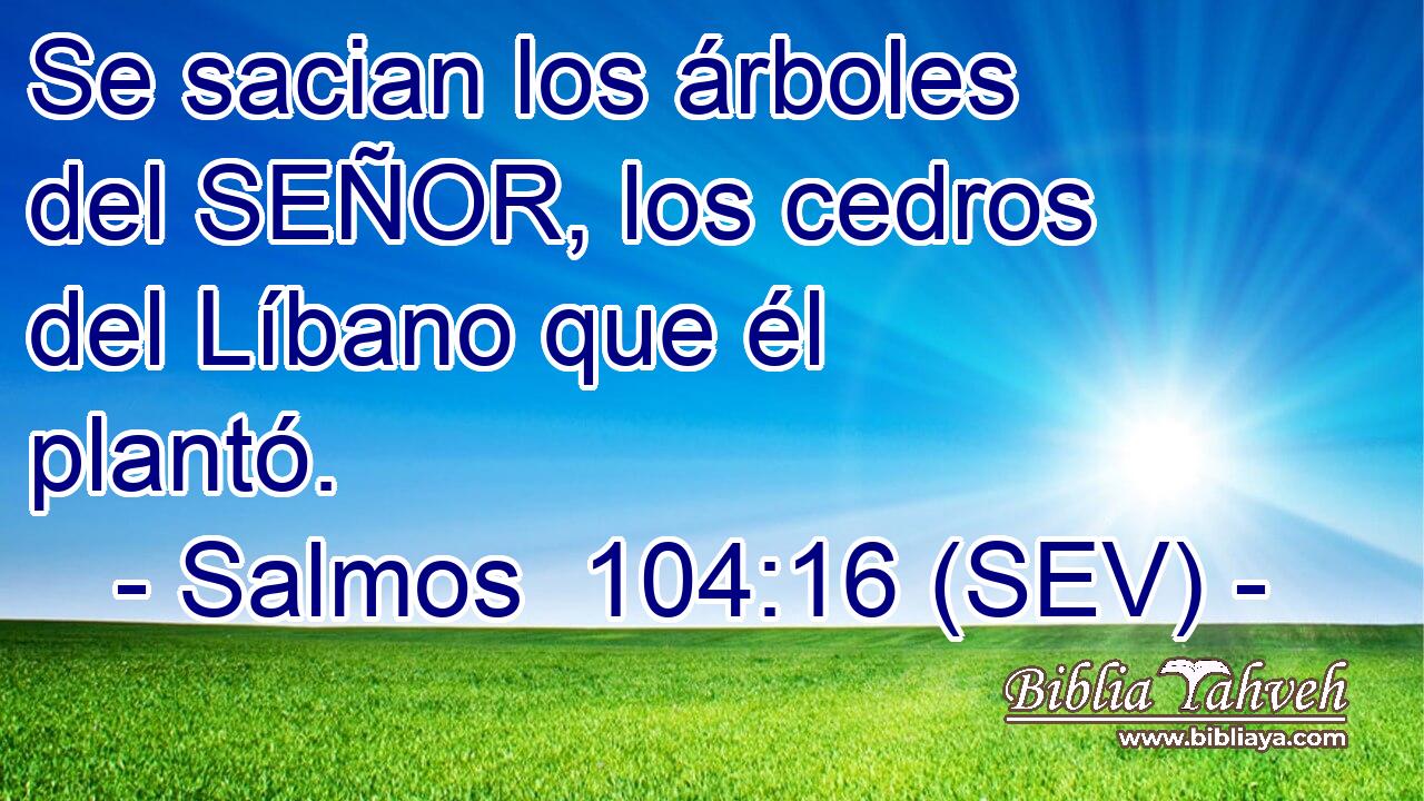 Se sacian los árboles del SEÑOR, los cedros del Líbano que él plantó.