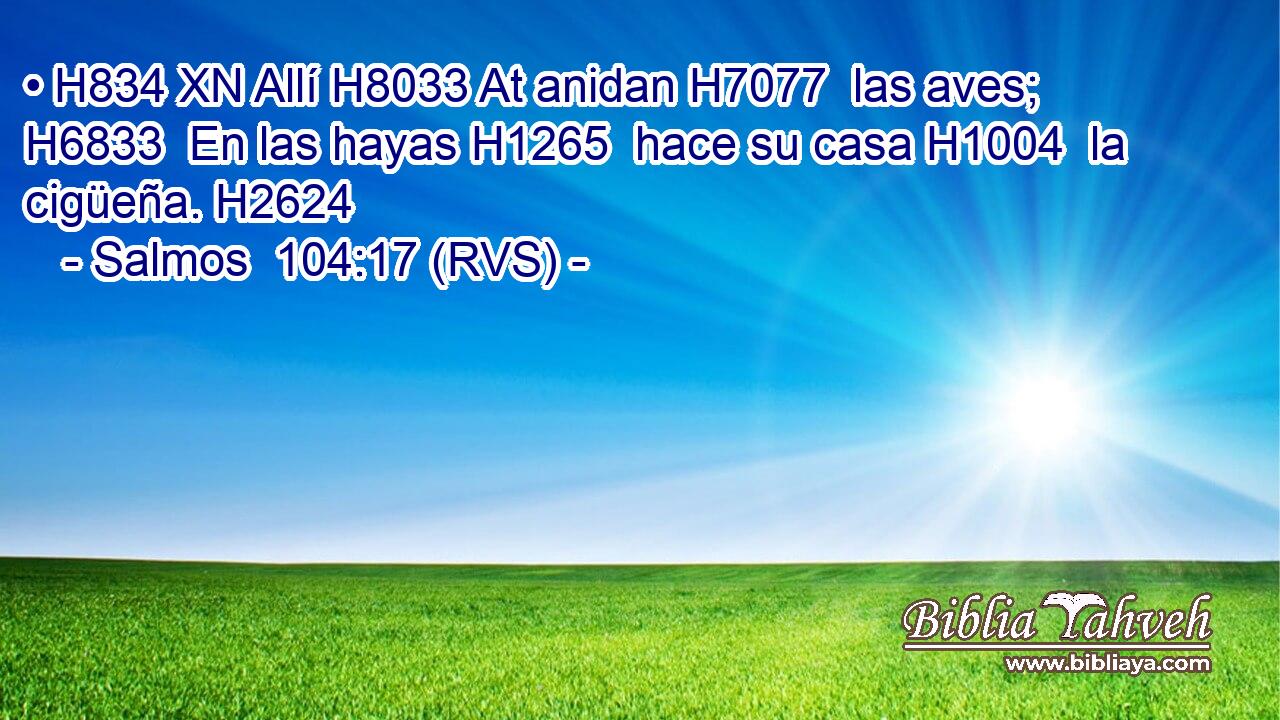 • H834 XN Allí H8033 At anidan H7077  las aves; H6833  En las hayas H1265  hace su casa H1004  la cigüeña. H2624  