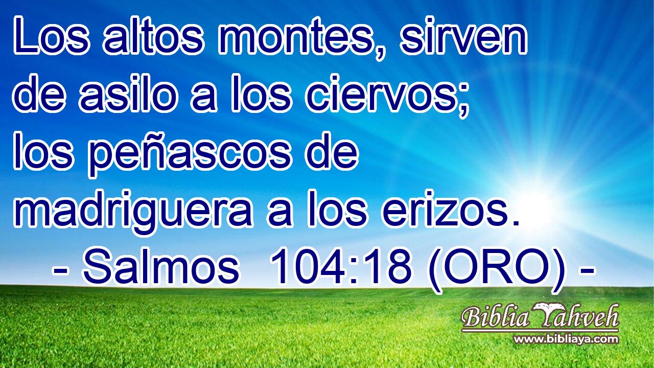  Los altos montes, sirven de asilo a los ciervos; los peñascos de madriguera a los erizos. 